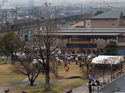 日向市総合文化祭